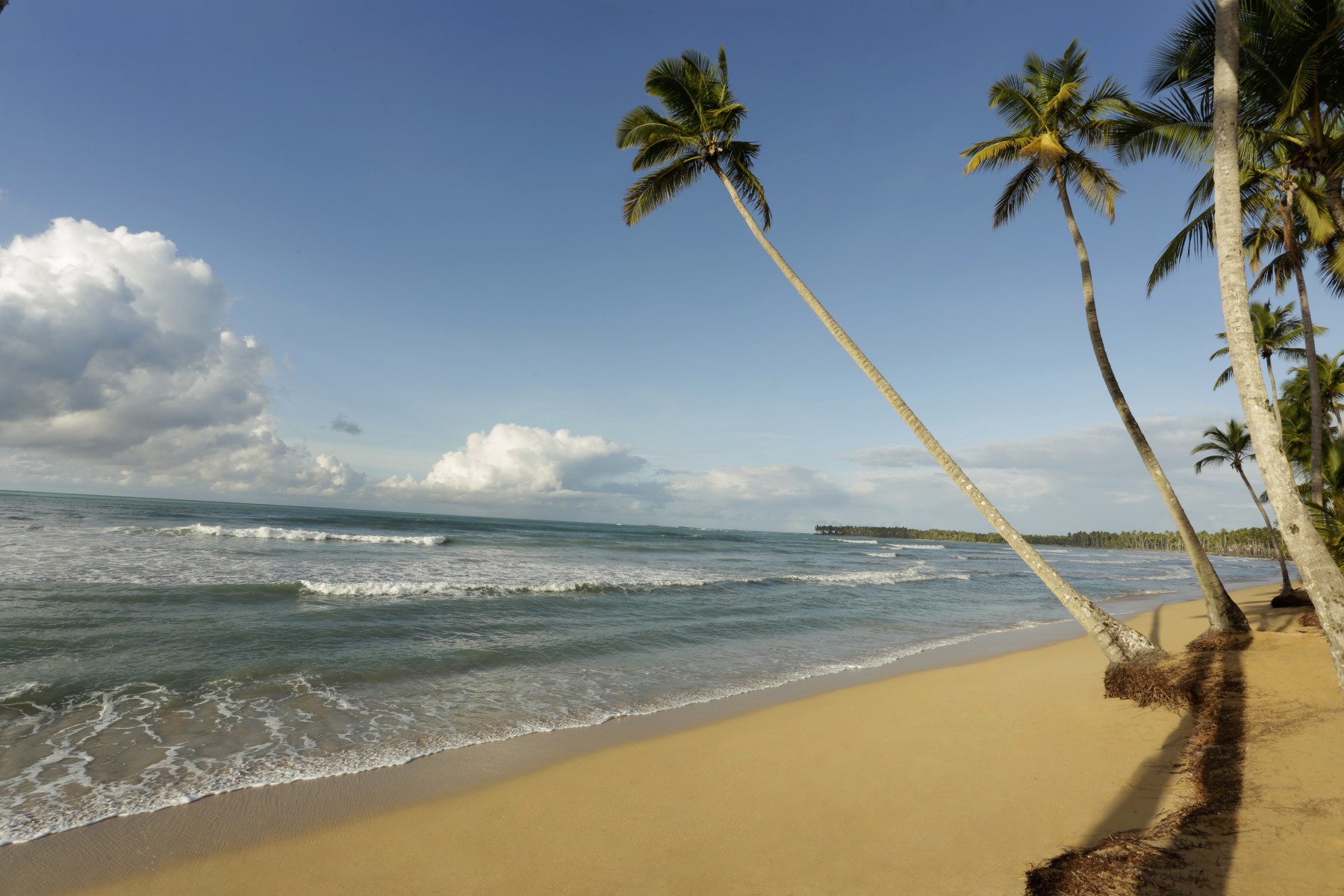 Samana - Viva Wyndham V Samana